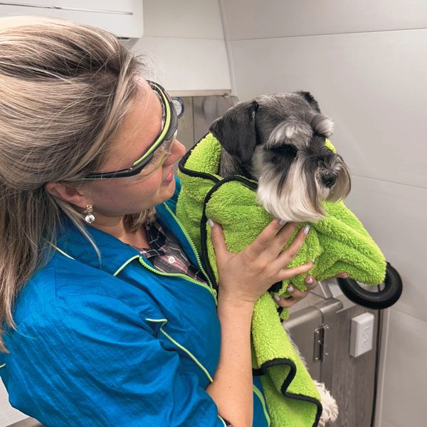 Pet grooming image from Kate's Gentle Groomhouse