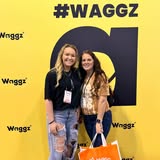 Styled dog after grooming at Krissy K9 Cuts