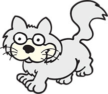 Cat featured on the Le Paw Spa services page