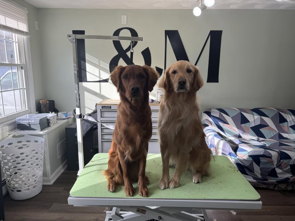 L&M Dog Grooming LLC