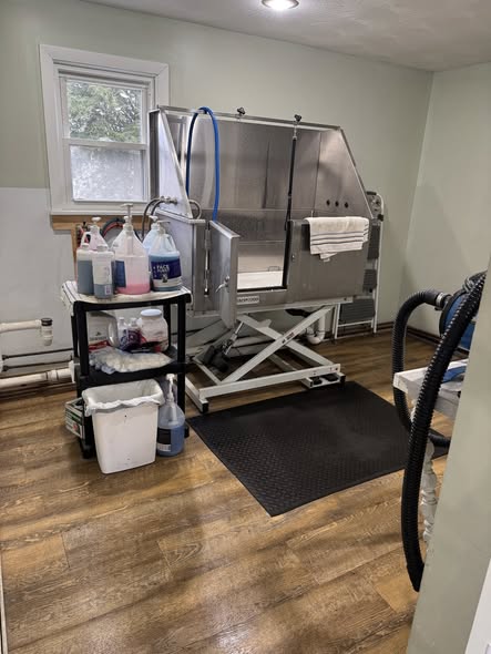 Pet grooming photo from L&M Dog Grooming LLC