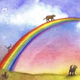 Groomed pet from Love and Shine Pet Mobile Grooming