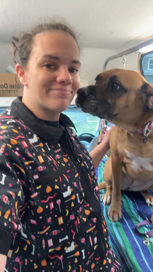 Megan's Mobile Grooming LLC