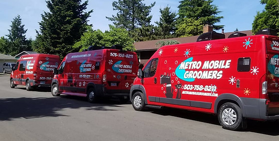 Metro Mobile Groomers