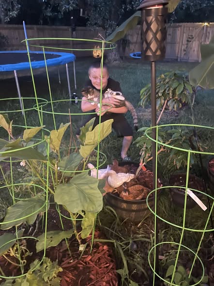 MeWow Mobile Pet Grooming