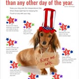 Client dog result photo from Miss J's Mobile Dog Grooming