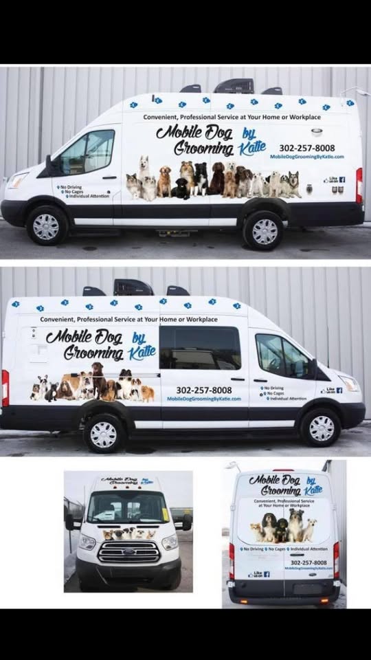 Mobile Dog Grooming By Katie featured image