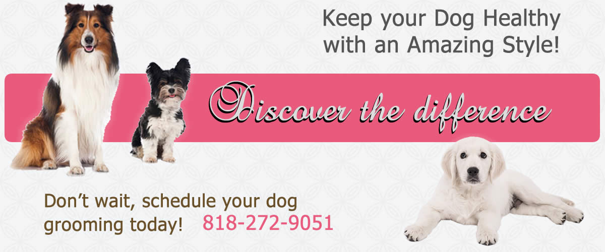 Dog grooming appointment image from Mobile Dog Grooming LA