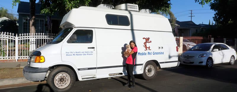 Mobile Dog Grooming LA promotional service image