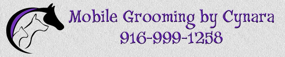 Mobile Grooming by Cynara