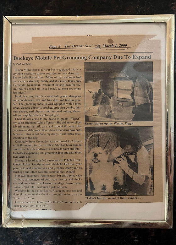 Mobile Pet Grooming trailer photo