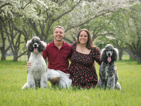 Pet care image from Mobile Pet Pawdicures gallery