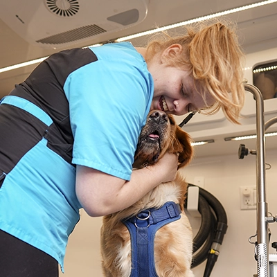 Mobile Pet Spaws grooming team