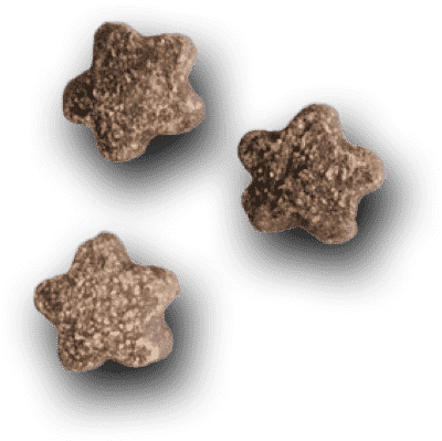 Music City Grooming dog service image