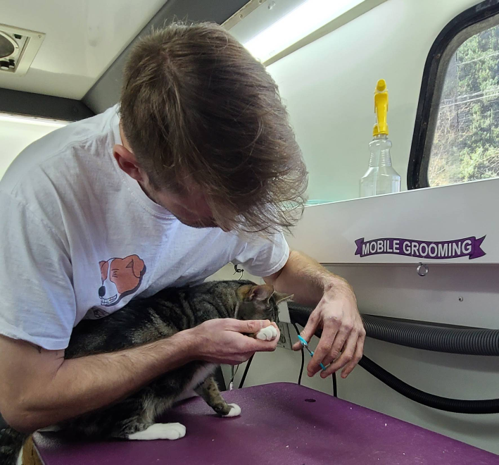 Mutt Cutz Mobile Grooming