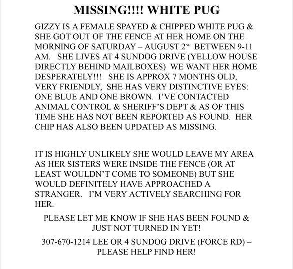 Recent pet photo posted by Muttley's Grooming LLC