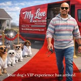 Another groomed pet photo from My Love Mobile Dog Grooming