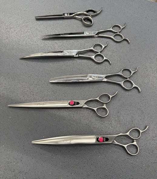 Recent grooming-related post image