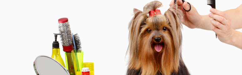 Natalia's Pet Beauty Salon