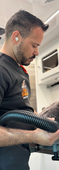 Another groomed pet example from Nick & Friends