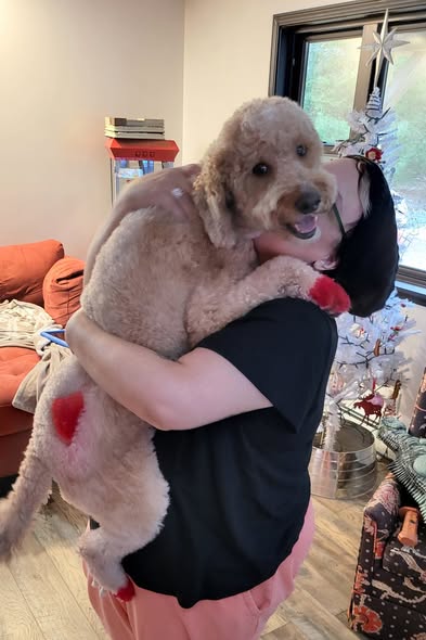 Groomed pet photo from On A Wing And A Paw