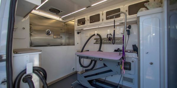 Interior of the On the Dog's Side grooming van