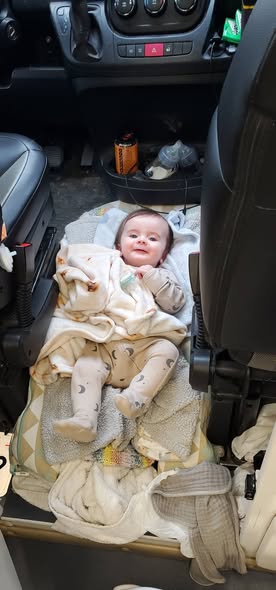 Recent groomed dog photo from On the Dog's Side Facebook page