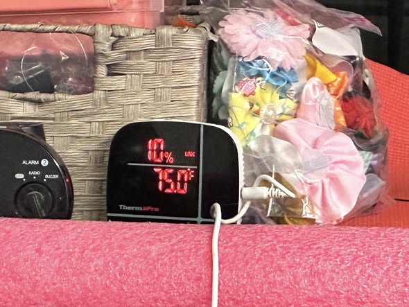 Dog in the mobile grooming van from On The Spot Mobile Dog Grooming