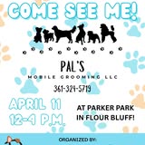 Pal's Mobile Grooming LLC pet grooming photo