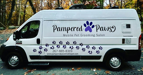 Pampered Paws Mobile Grooming gallery image of groomed pet