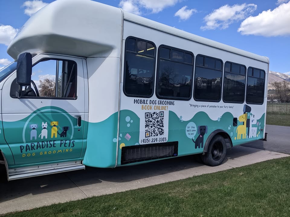 Paradise Pets profile image