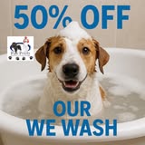 Recent Paw Prints groomed pet photo