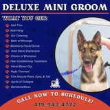 Paw Prints pet grooming result photo