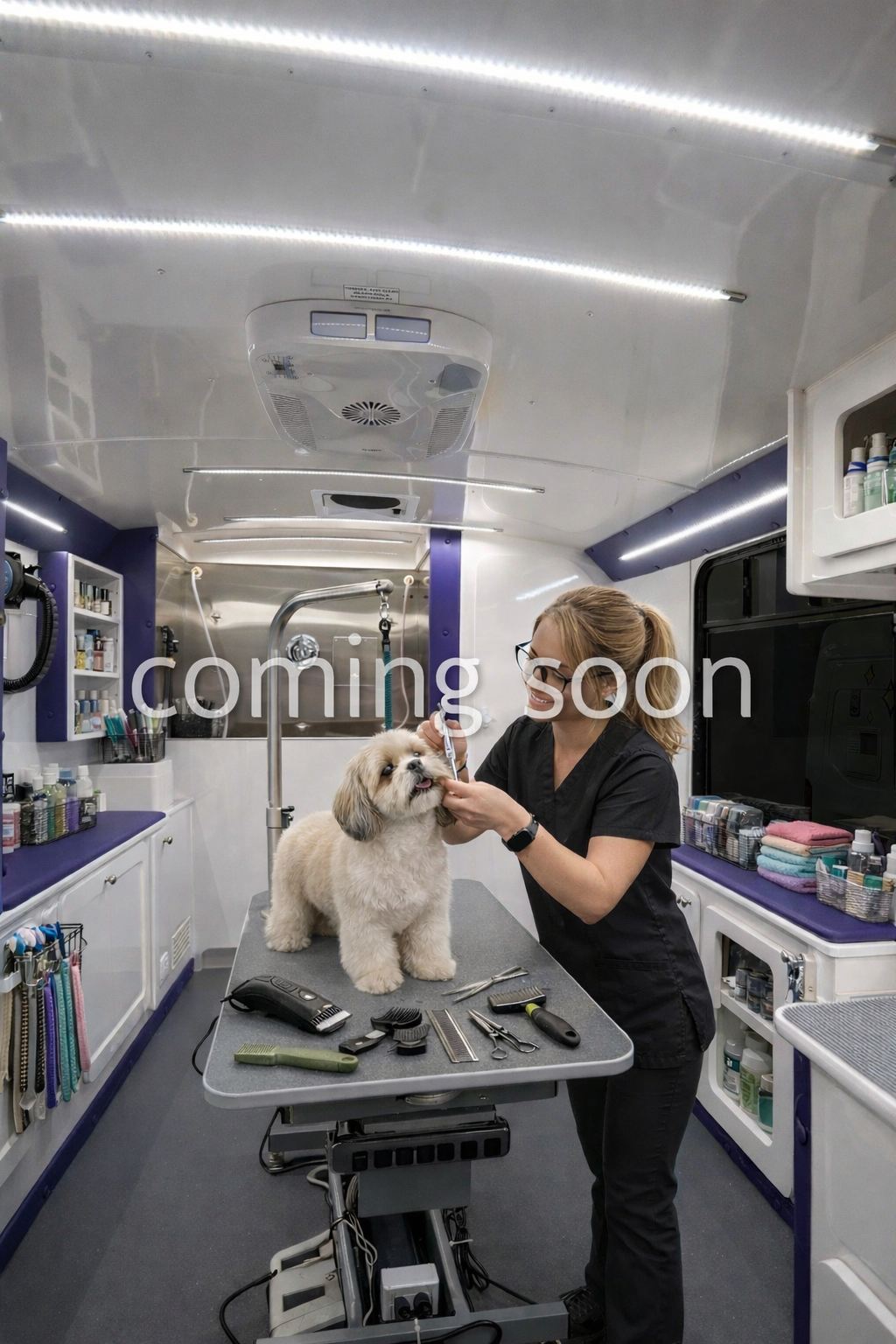 Interior grooming setup image from Pawadise Paw Spa