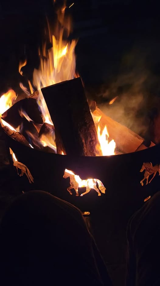 Paws-n-all service photo from Facebook