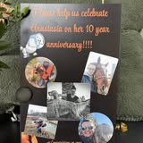 Groomed pet photo from Paws & Reflect Pet Salon