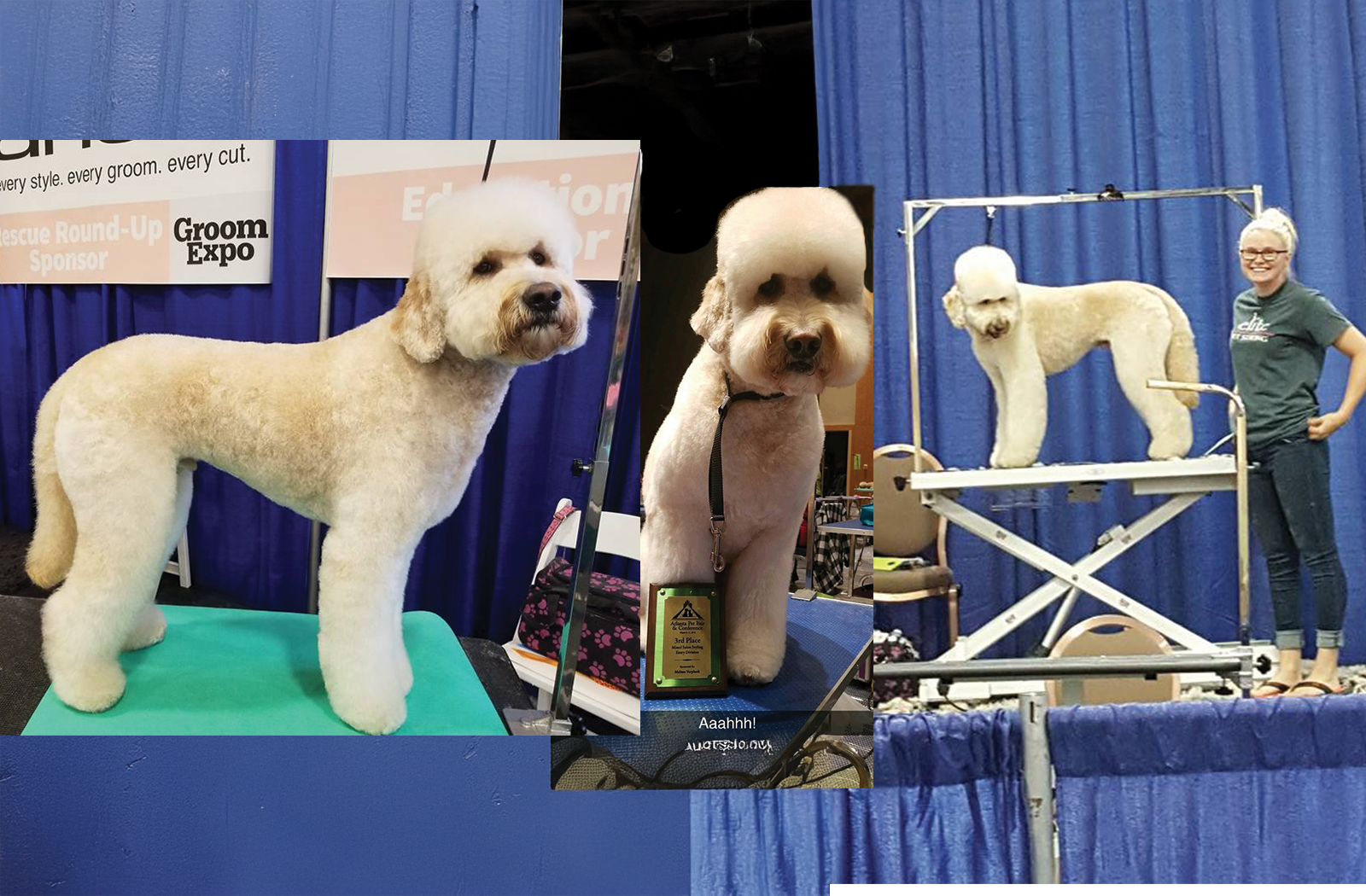 Pawsh Paws Mobile Spa website slideshow image