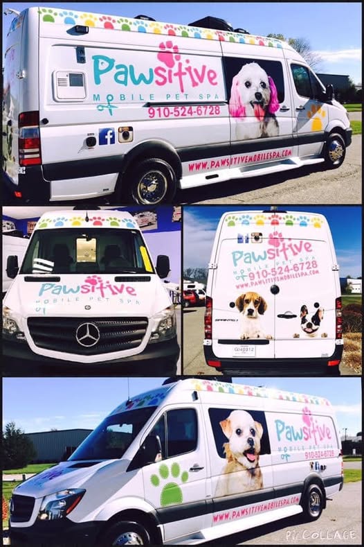 Pawsitive Mobile Pet Spa official grooming image