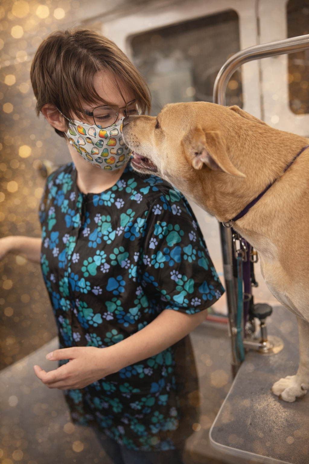Groomer working with a dog during mobile appointment