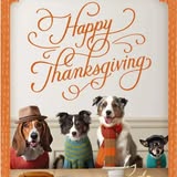 Dog grooming result photo from Pawsome Luxuries LLC