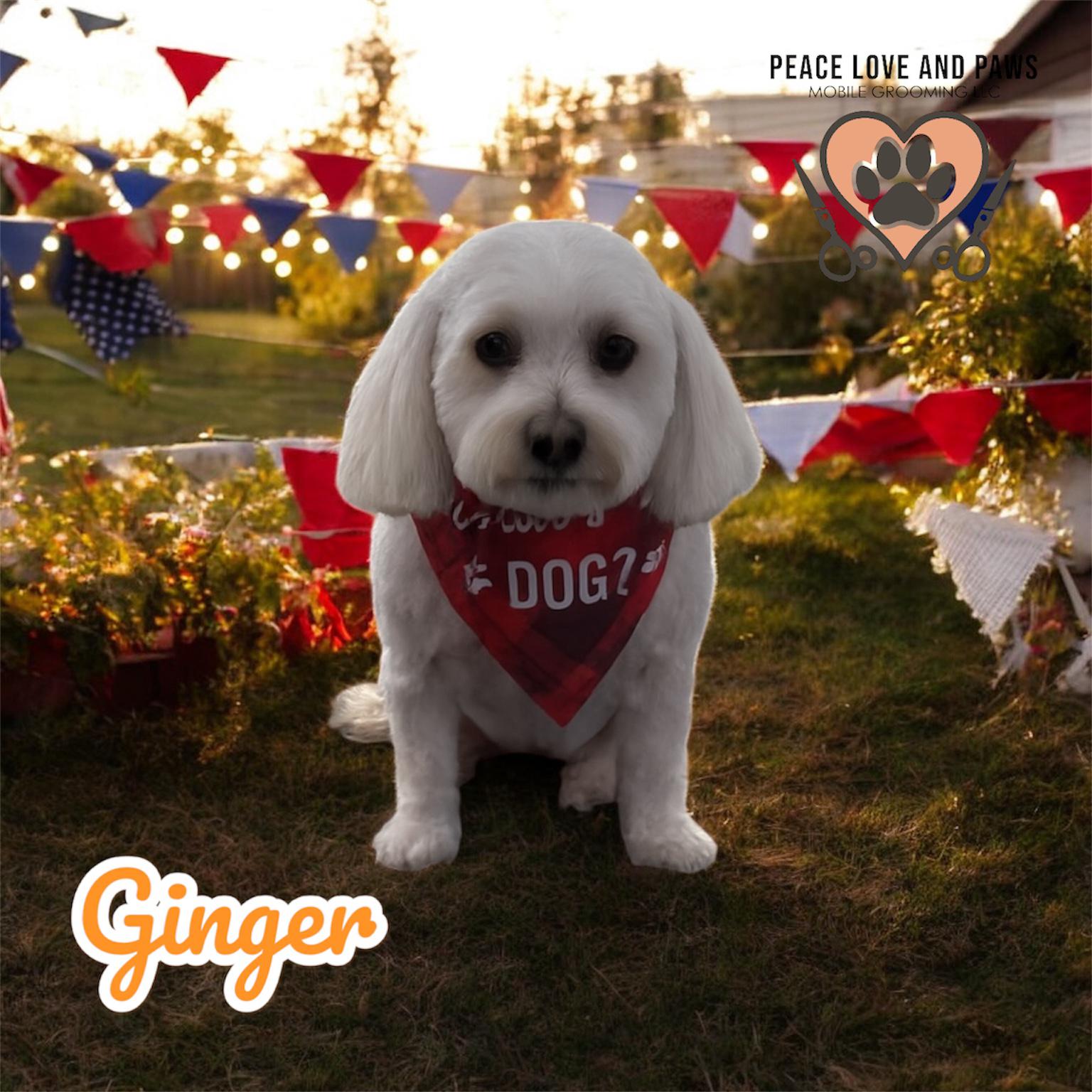 Peace Love&Paws Mobile Grooming LLC