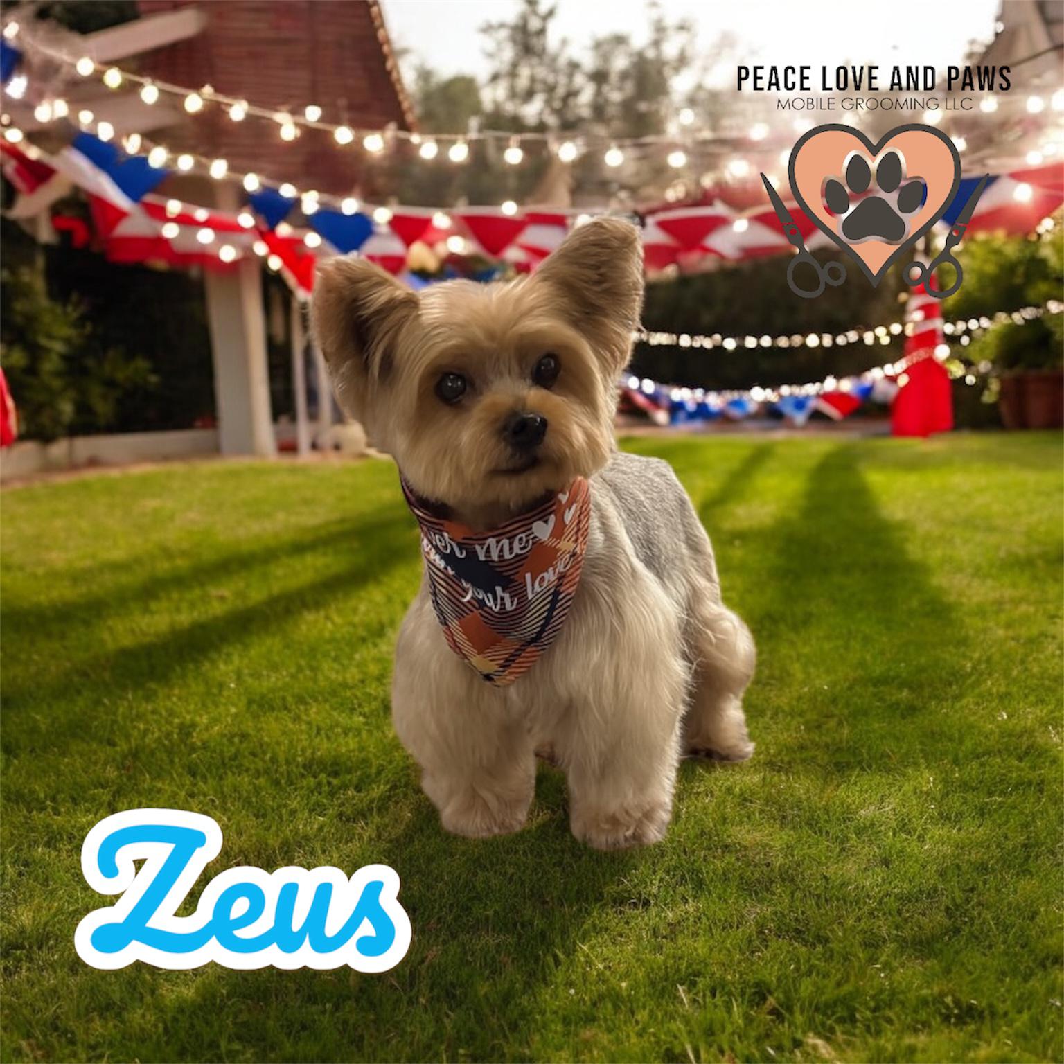 Peace Love&Paws Mobile Grooming service image