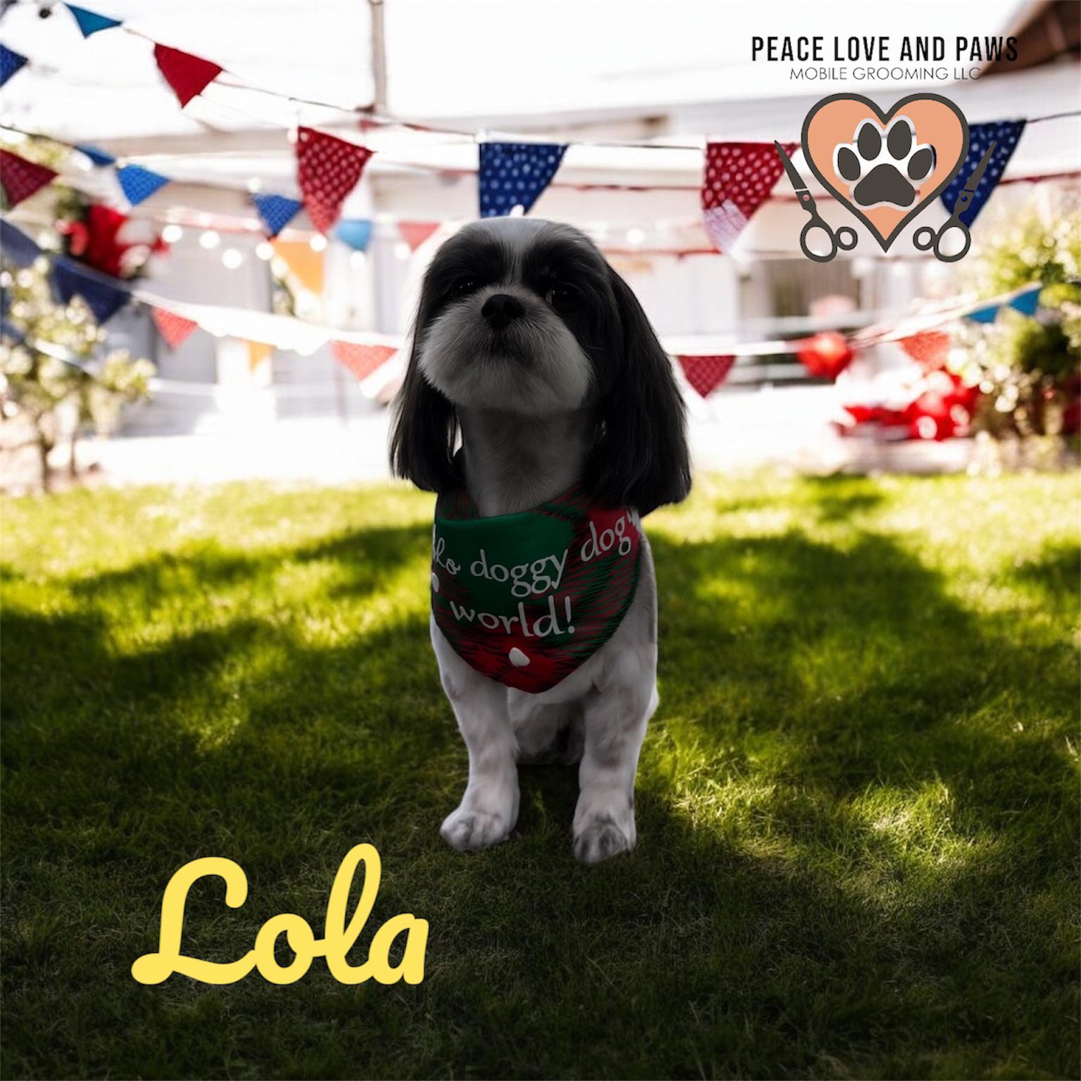 Dog nail trim service image from Peace Love&Paws