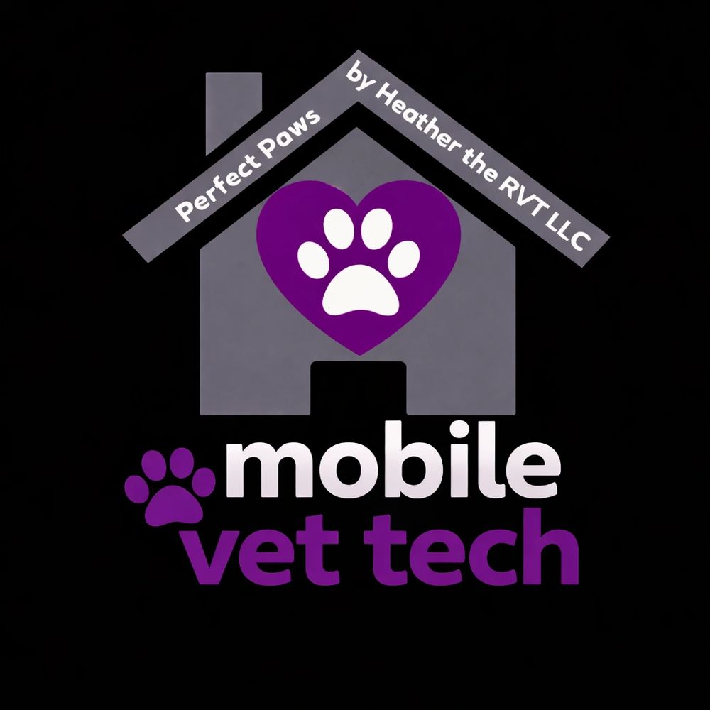 Perfect Paws by Heather the RVT hero image
