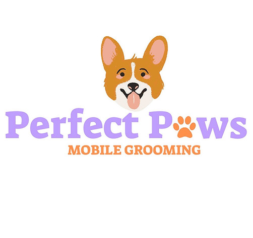 Corgi photo used by Perfect Paws Mobile Grooming
