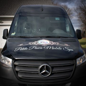 Travel fee graphic shown on Petite Paws pricing page