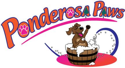 Ponderosa Paws grooming products and setup