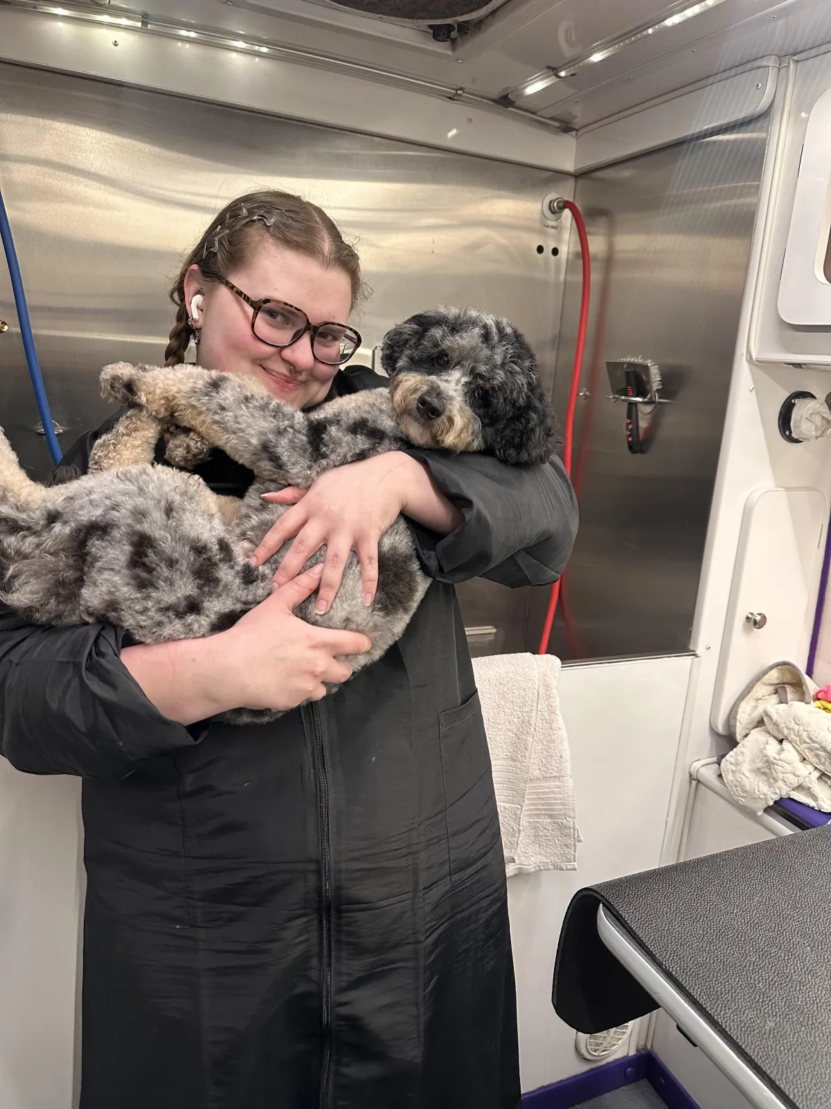 Fluffy dog after mobile grooming by Pooch Wagon