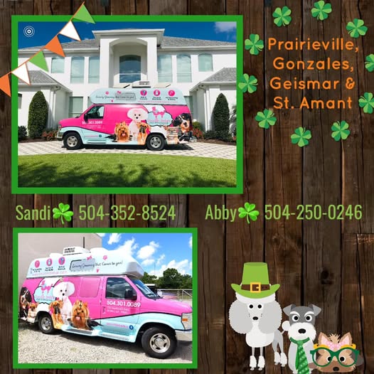 Poochie Bella's Grooming