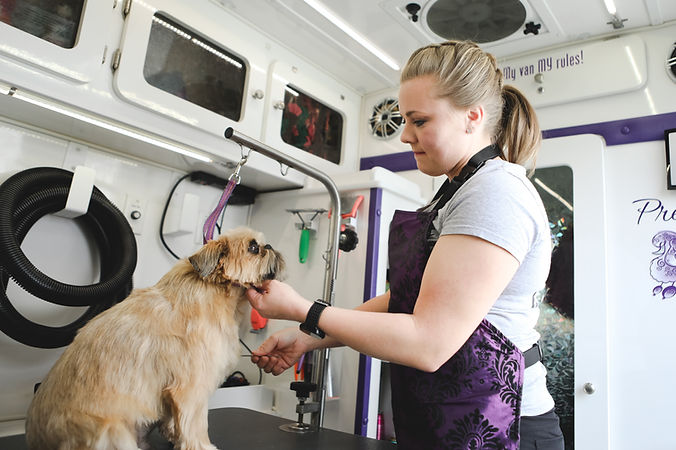 Dog being groomed by Pretty Paws Mobile Grooming